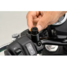 Mirror Plug Bolt — M10 x 1.25, Black, Right