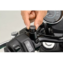 Mirror Plug Bolt — M10 x 1.25, Right, Gray