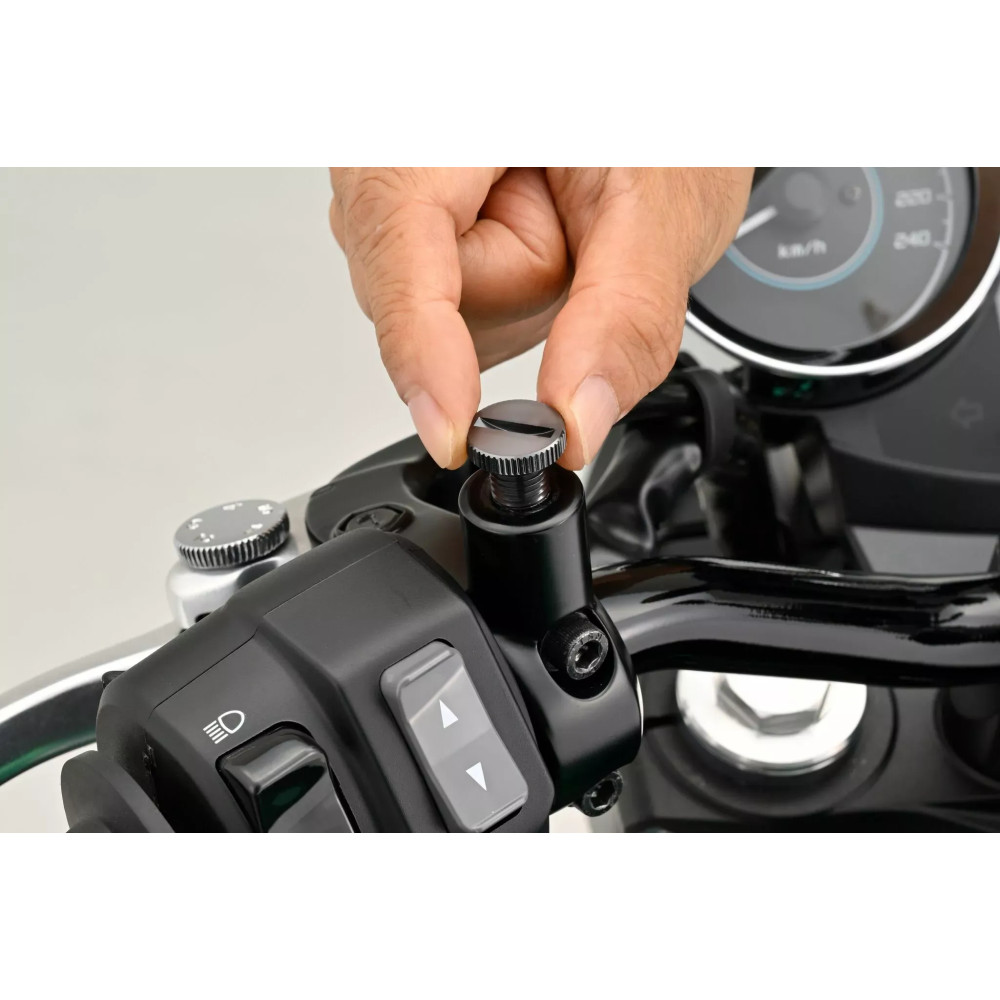 Mirror Plug Bolt — M10 x 1.25, Right, Gray