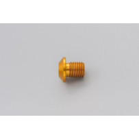 Mirror Plug Bolt — M10 x 1.25, Gold