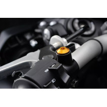 Tornillo tapón de espejo — M10 x 1.25, Dorado, Derecha