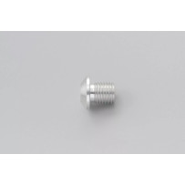 Mirror Plug Bolt — M10 x 1.25 thread, Silver