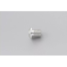 Mirror Plug Bolt — M10 x 1.25, Silver