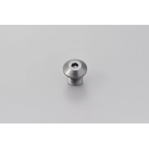 Mirror Plug Bolt — M10 x 1.25, Gray