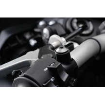 Mirror Plug Bolt — M10 x 1.25, Right, Gray