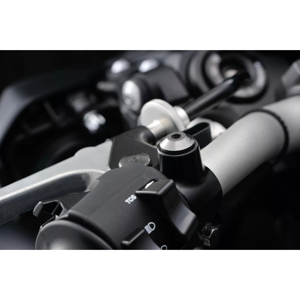 Mirror Plug Bolt — M10 x 1.25, Right, Gray