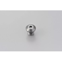 Mirror Plug Bolt — M10 x 1.25, Right, Gray