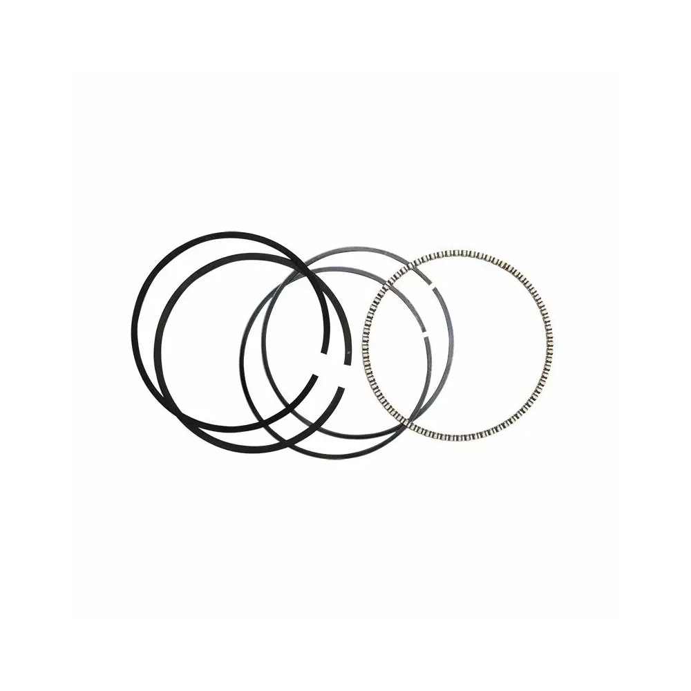 Replacement Rings 4" — moly-coated