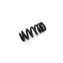 Shock Spring — Rear, Black
