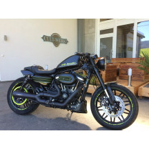 Front Fender Sportster — Roadster, Raw finish