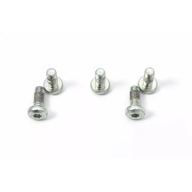 Brake Rotor Bolt Set — MSS170-5, stainless steel