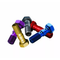 Banjo Bolt — M10 x 1.25, double, silver