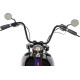 Depósito de gasolina estilo Fat Bob — 13.2 L (3.5 US gal.), salida 22 mm