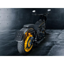 License Plate Frame — natural finish, rear mounting