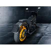 License Plate Frame — natural finish, rear mounting