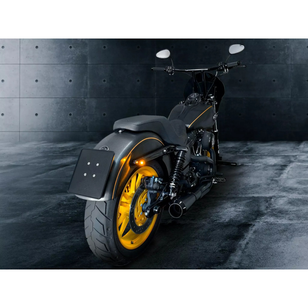 License Plate Frame — natural finish, rear mounting