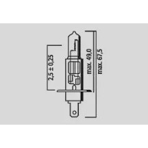 Halogen Headlight Bulbs — 12V 55W, P14.5s (H1)