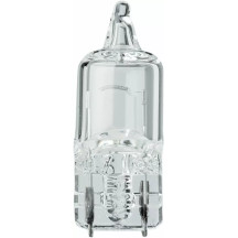 Filament Glass Wedge Bulbs — 12V 5W, W2.1×9.5d (W5W/168/T10), 10 pack