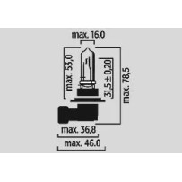 Halogen Headlight Bulbs — 12V 60W, P20d 90° (HB3, 9005)