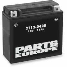 High Performance AGM Maintenance-Free Battery — 12V, 18 Ah, 320 A