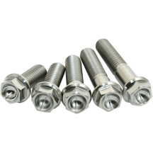 Titanium Screws — M8 x 25, Titanium, 4 Pack