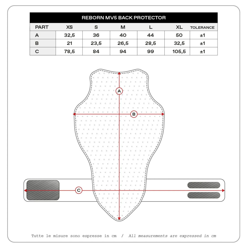 Reborn MV5 Back Protector — M, Black