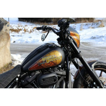 Dash Cover for Harley — Low Rider S, Black Gloss