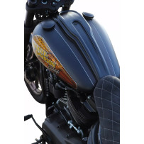 Dash Cover for Harley — Low Rider S, Glossy Black