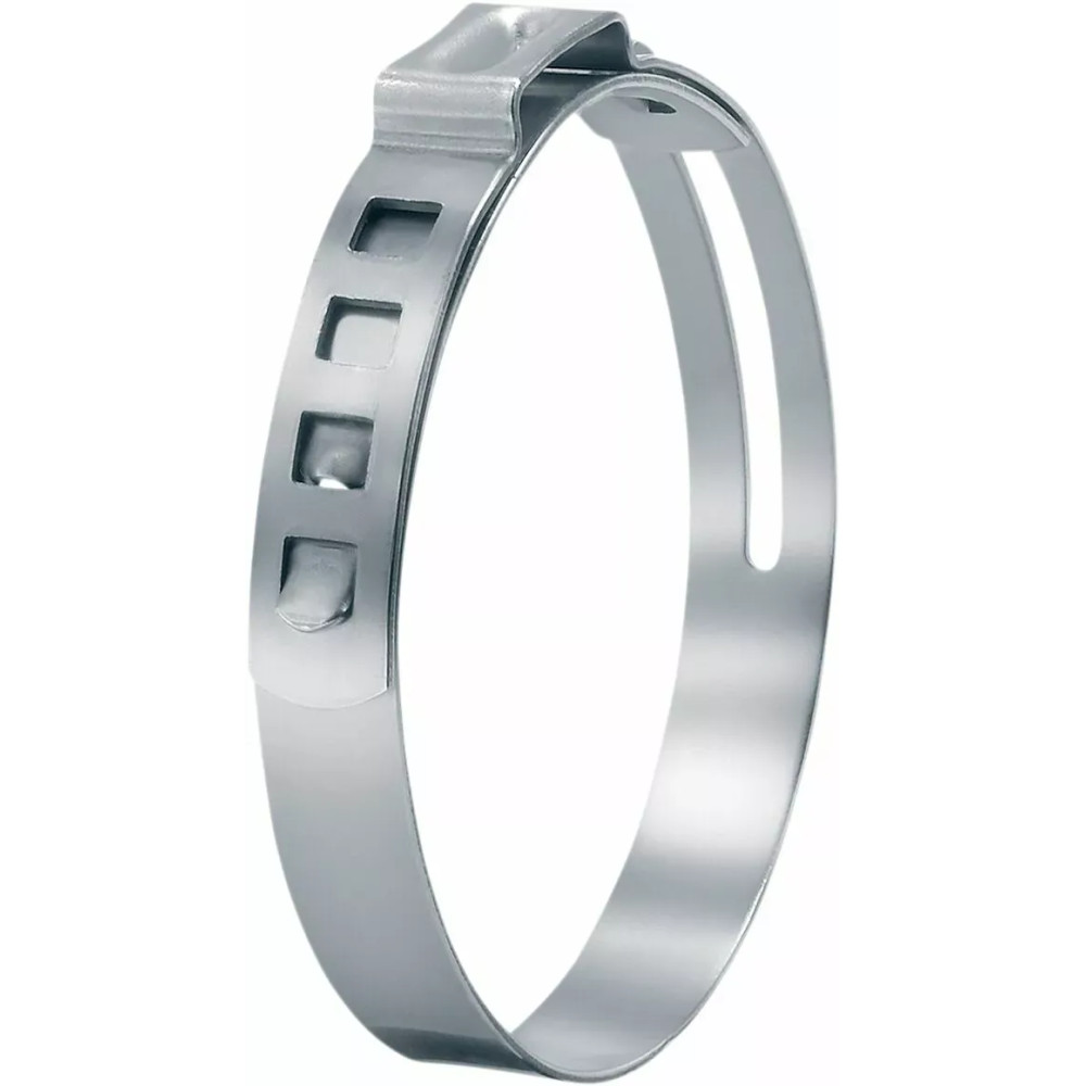 Clamp — Motorcycle, Stainless Steel, 5 pack