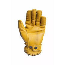 Coyote Gloves — 2XL, Yellow, Black