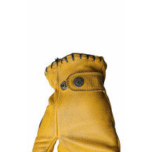 Coyote Gloves — 3XL, Yellow, Black
