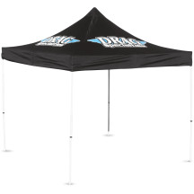 Collapsible Canopy — 10' x 10', Black
