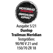 Trailmax Meridian Tire — 130/80-17, Rear