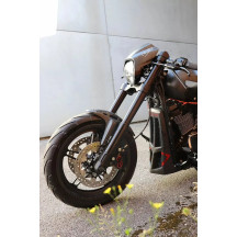 Fork Covers — Lower mount, Black, Pair