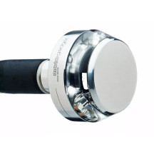 Mo-Blaze Disc Turn Signals — flat, chrome