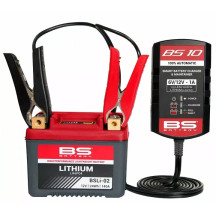BS10 Battery Charger — 6V/12V, 1A, UK plug