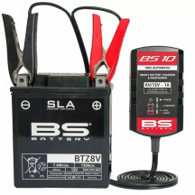 BS10 Battery Charger — 6V/12V, 1A, UK plug