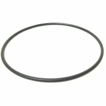 O-Ring — 12" rim