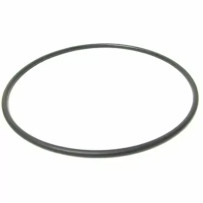 O-Ring — 12" rim