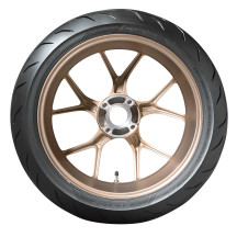 Qualifier Core Tire — 120/70ZR17, 58W, Tubeless