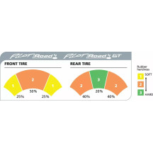 Pilot® Road 4 GT: Dual-Compound Sport Touring Radials Tire — 190/55ZR17, 75W