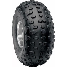 DI2001/2002 — 21 x 10-8, Rear, 2 ply