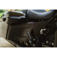 Side Panel Custom — Black, Left/Right, Pair