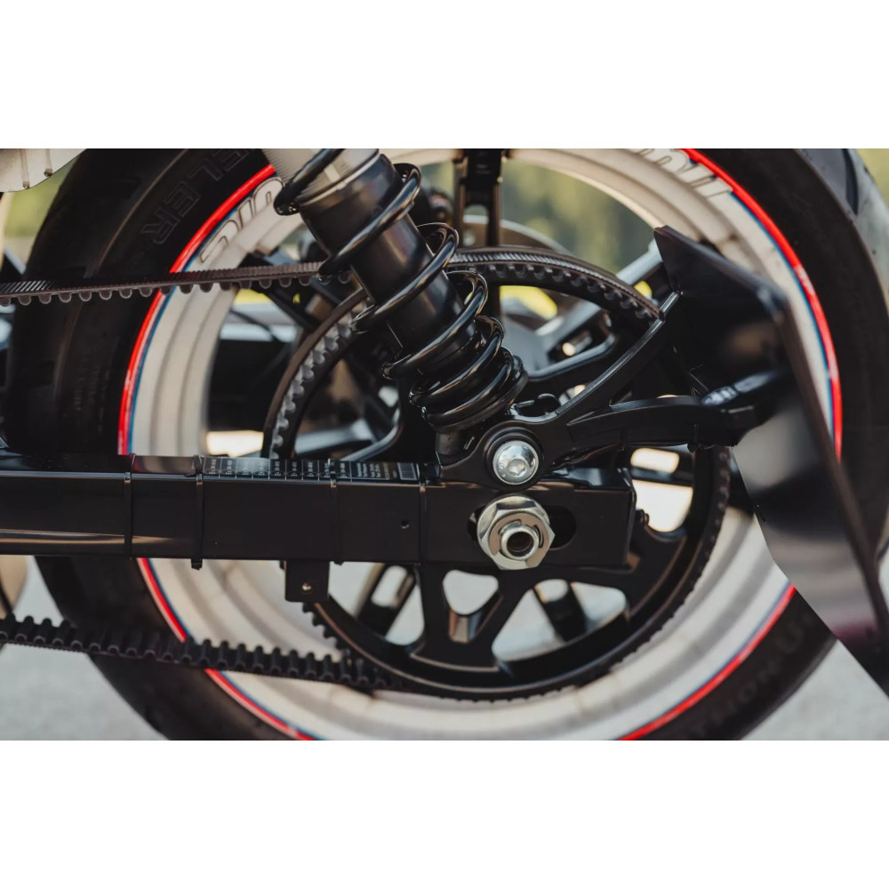 Soporte de matrícula RH975 — 14.3 cm alto, 21 cm ancho, montaje trasero atornillado, LED