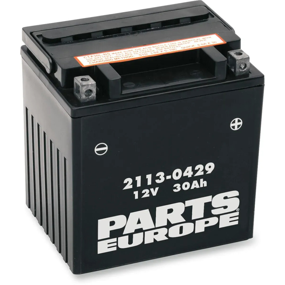 Parts Europe Battery — 12V 30Ah, 400A, AGM, Black