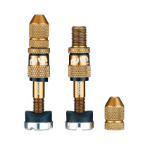 Quick Fill Schrader Tubeless Valve Set — Bronze kit