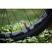 Quick Fill Schrader Tubeless Valve Set — Purple