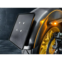 License Plate Frame — natural finish, rear mounting