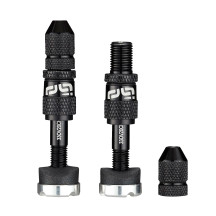 Quick Fill Schrader Tubeless Valve Set — Black
