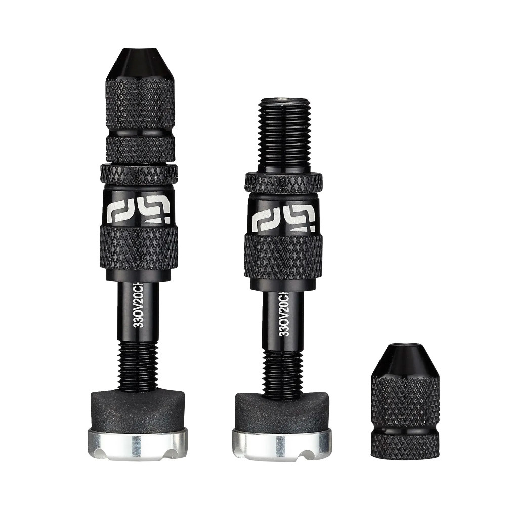 Quick Fill Schrader Tubeless Valve Set — Black
